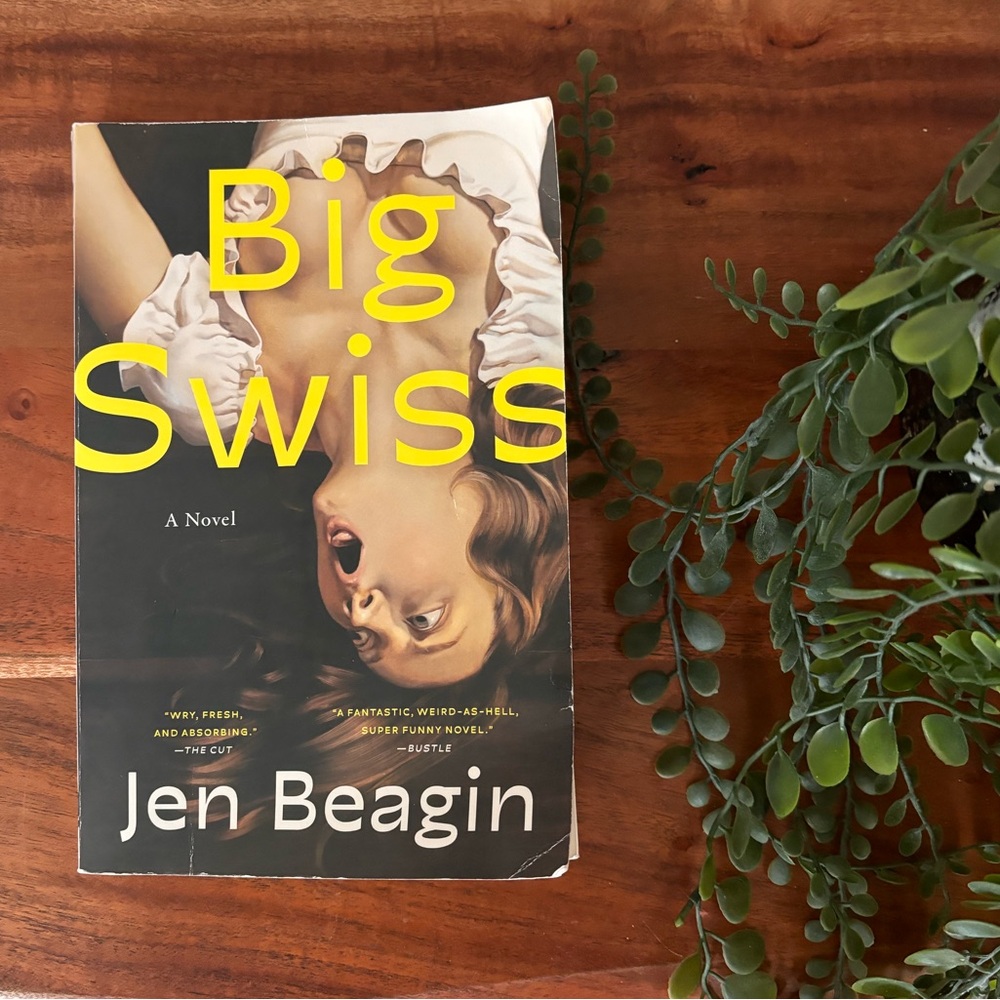 Big Swiss, paperback